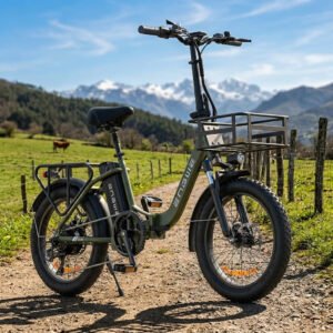 Engwe L20 SE 250W 20″ Bicicleta Eléctrica Plegable con 36V 15.6Ah Batería Mini Fat Bike